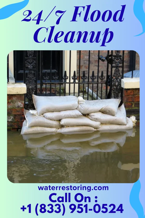 24/7 Flood Cleanup in Newton, GA
