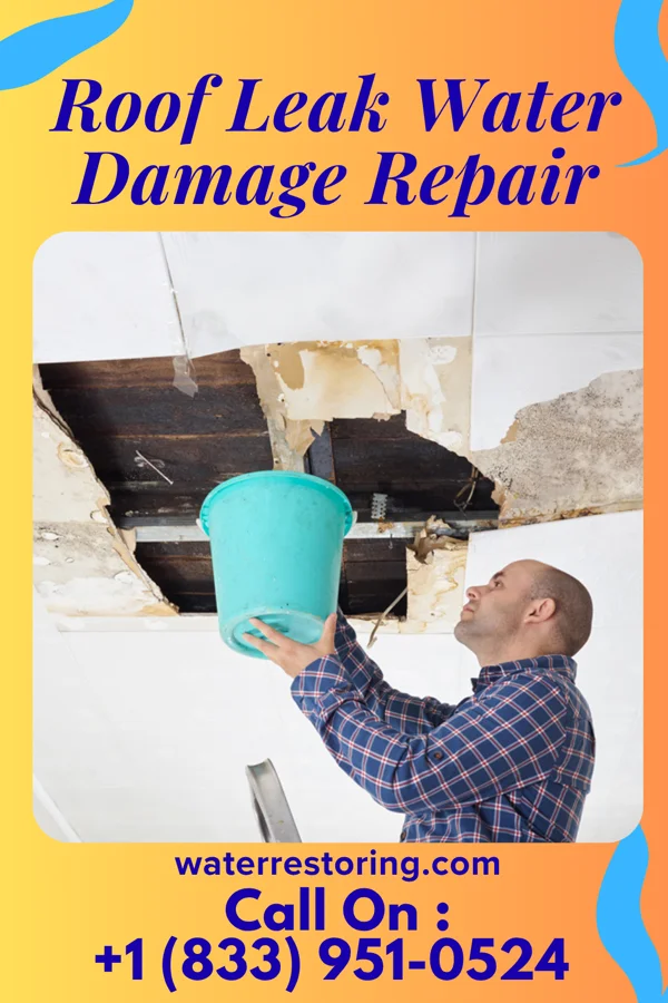 Roof Leak Water Damage Repair in Newton, GA