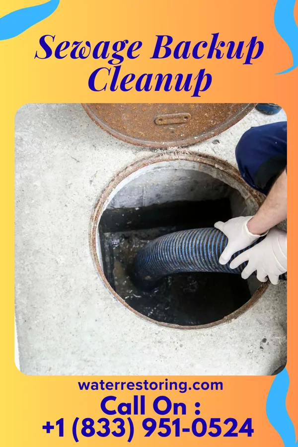 Sewage Backup Cleanup in Newton, GA