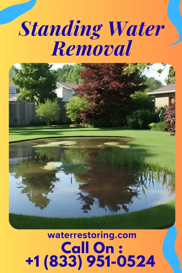 Standing Water Removal in Newton, GA
